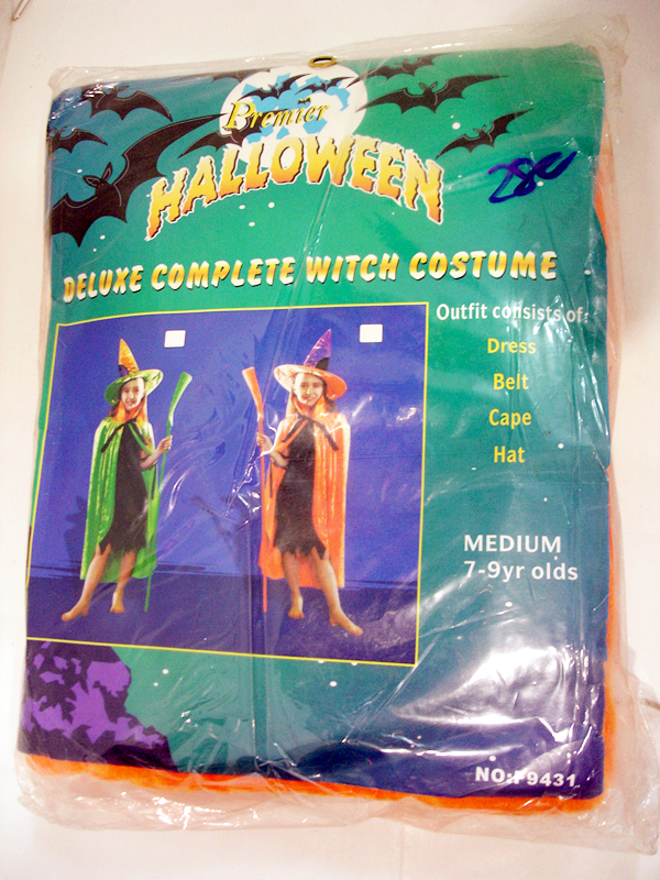 Deluxe complete witch costume
